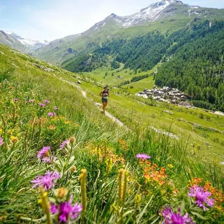 Sapaudia Chamonix